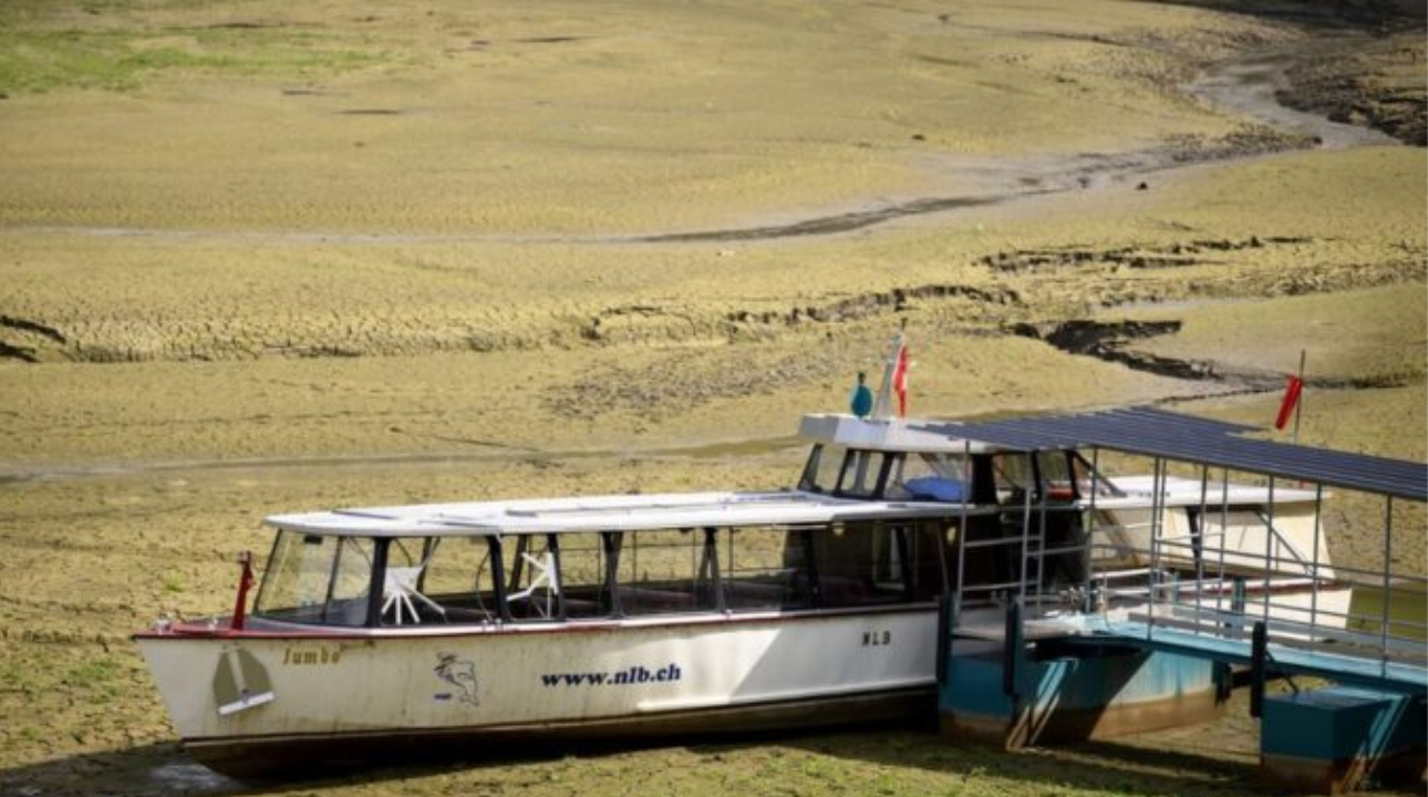 युरोपमा ५०० वर्ष यताकै सबैभन्दा खराब खडेरी