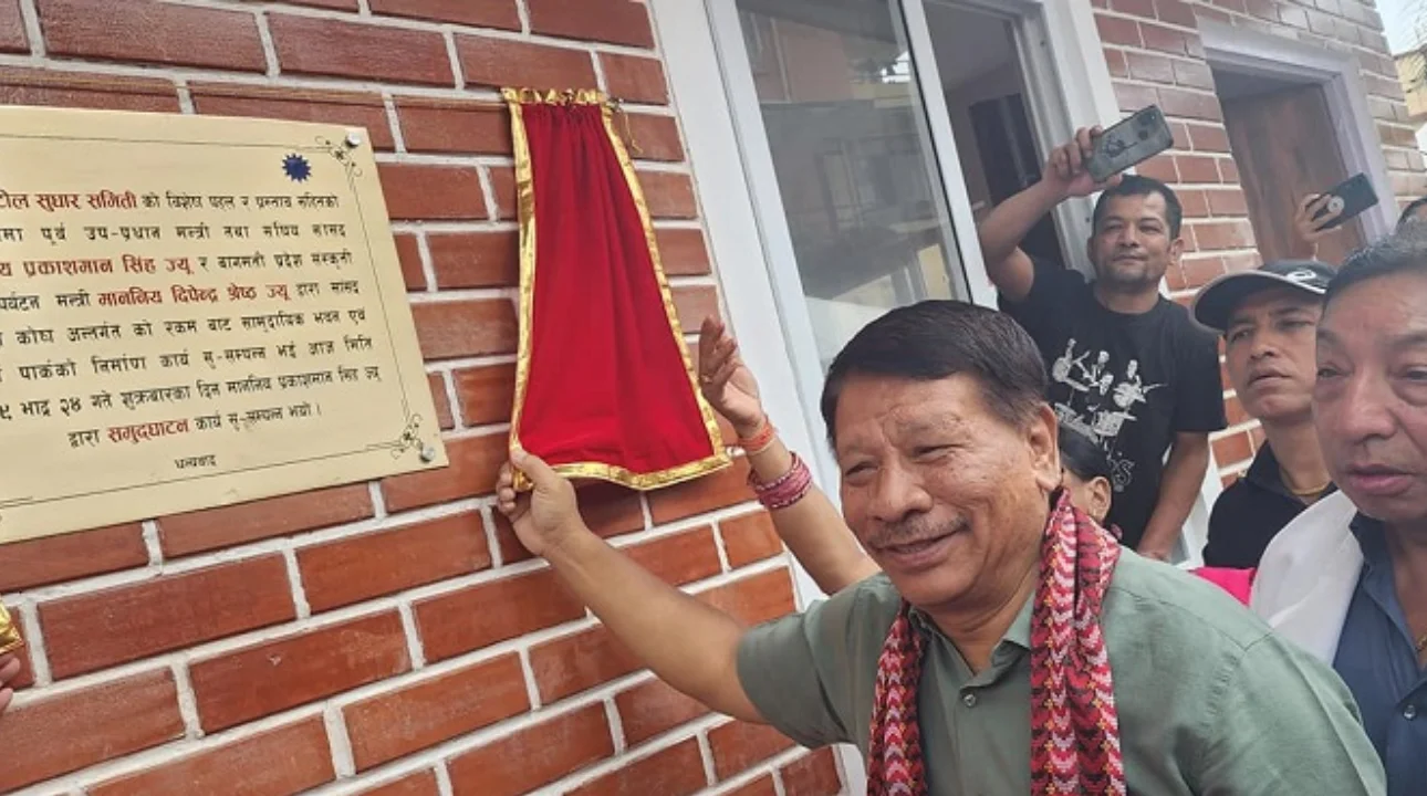 नाराले मात्रै  देशको विकास हुँदैन :   प्रकाशमान सिंह