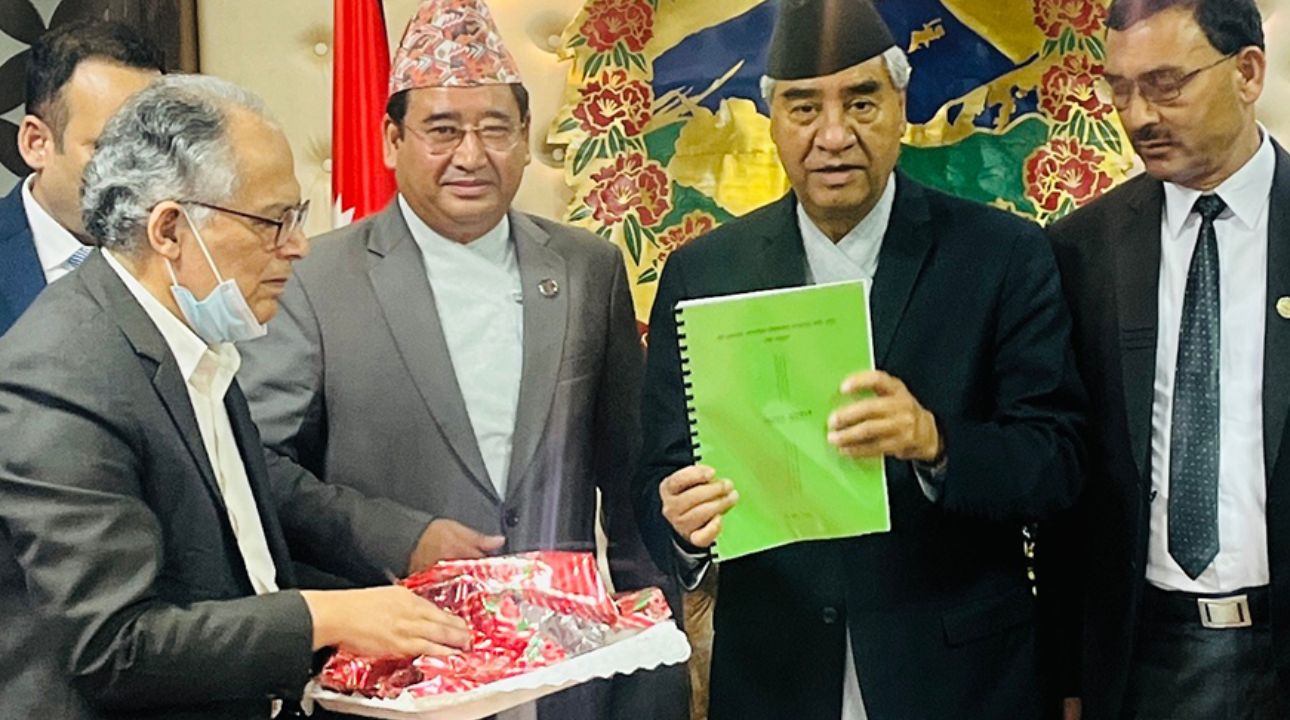निजगढ अन्तर्राष्ट्रिय विमानस्थल जति सक्दो चाँडो बनाउन विज्ञको सुझाव