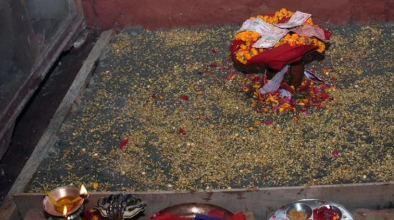 सुरु भयो बडादसैं,  जमरा राख्ने साइत बिहान १०;२३ बजे