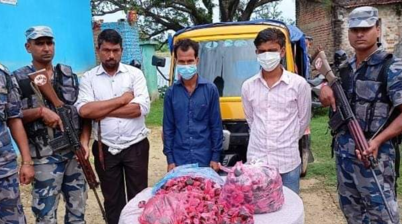 बाराबाट २० किलोग्राम चरेससहित ३ जना पक्राउ
