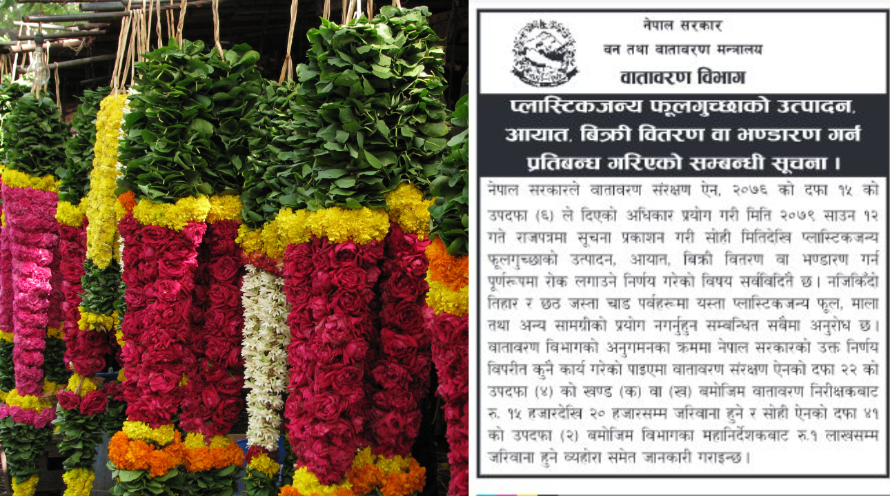 तिहार तथा छठमा प्लाष्टिकजन्य फूलमालाको खरिद बिक्री गरे एक लाख  जरिवाना