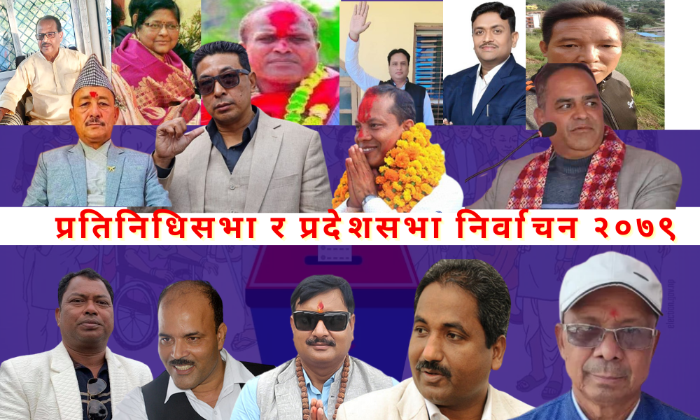 यस पटकको निर्वाचनमा प्रतिनिधि सभामा ५ र प्रदेश सभामा १२ जना स्वतन्त्र उम्मेदवार निर्वाचित 