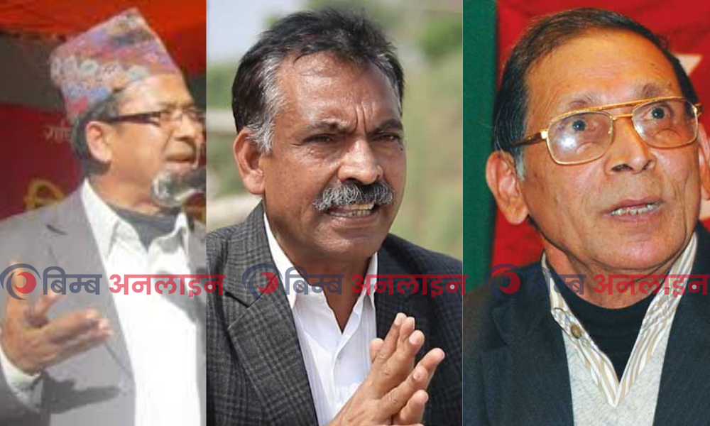क्रान्तिकारी पार्टीहरू एक हुन पार्टी एकता समायोजन समिति गठन