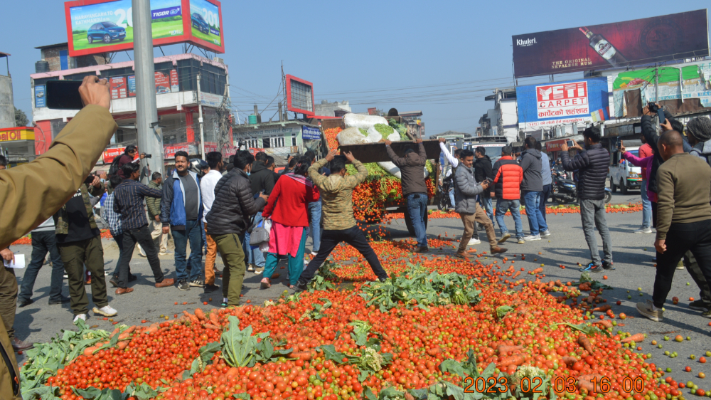 भारतीय तरकारीका कारण आफूले फलाएको तरकारी  नबेचिएपछि ...