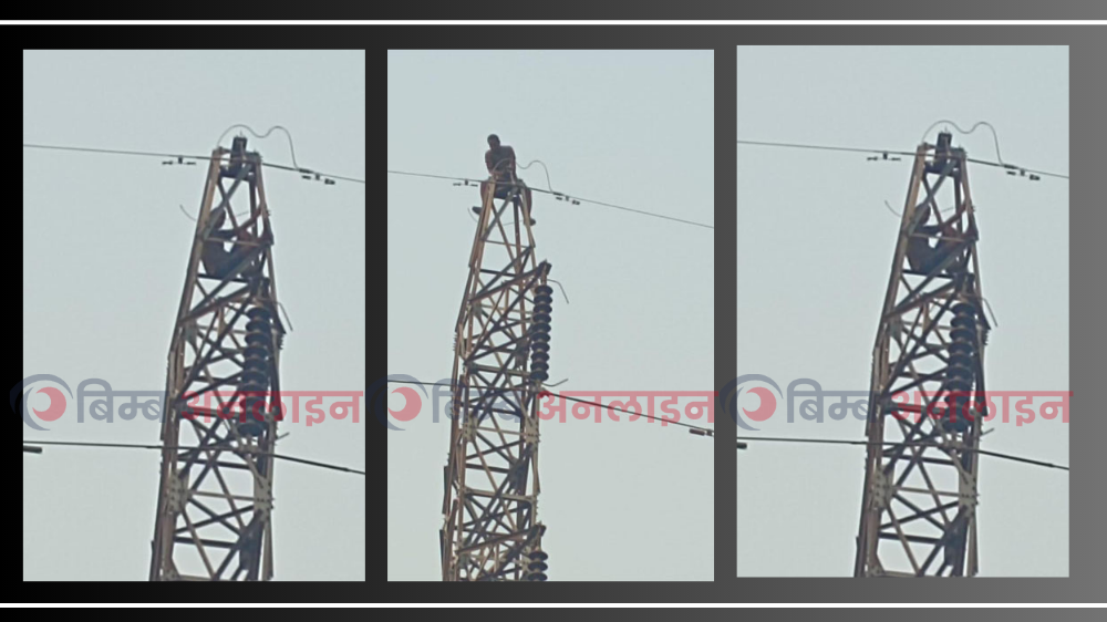 ११ घण्टापछि ओर्लिए हाइटेन्सन लाइनको पोलमा चढेका दिनेशकुमार माझी