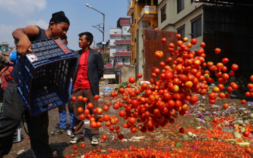 किसानले लागत मुल्य नपाए पछि  तरकारी फालेर विरोध