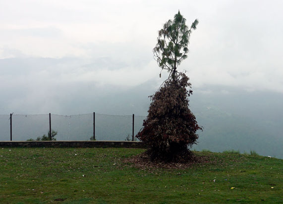 सुदूरपश्चिममा आज बुढी पोल्ने पर्व मनाइँदै