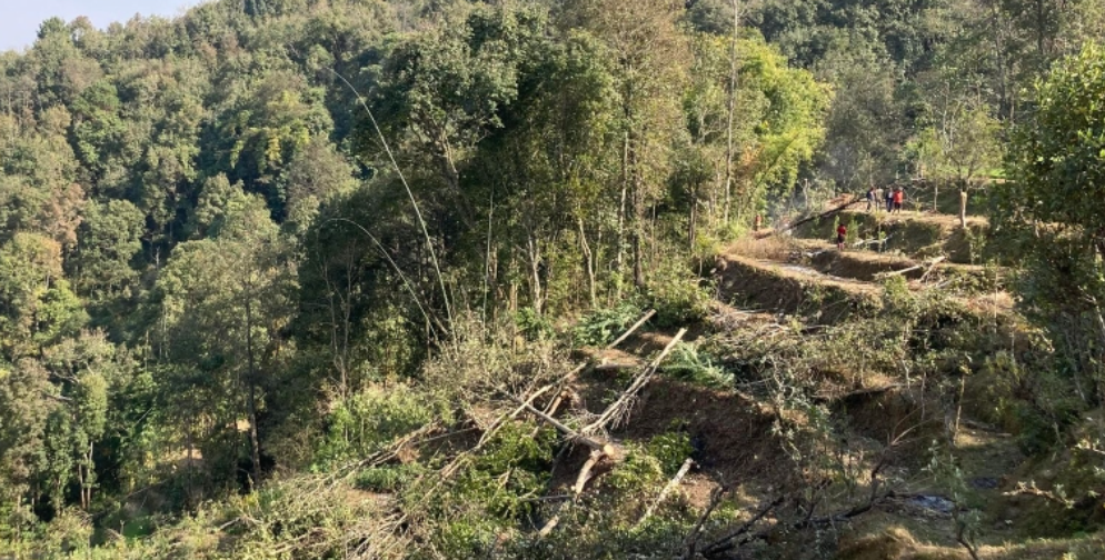 वाझो वारीमा २० वर्ष पछि झाडी फाडेर सुन्तलाखेती