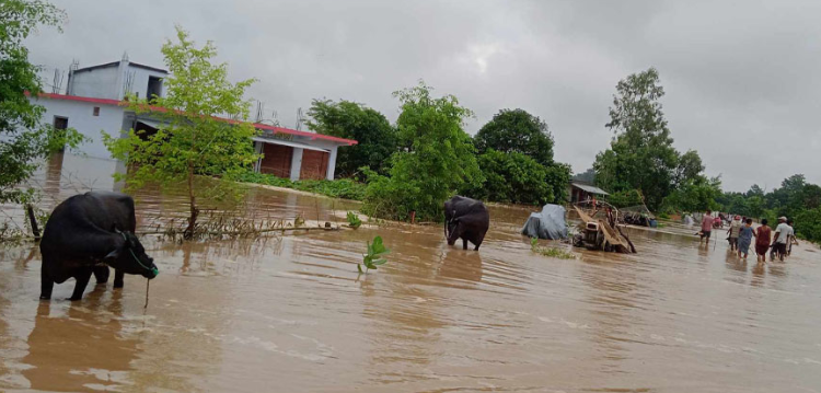 कैलालीका बस्ती डुबानमा