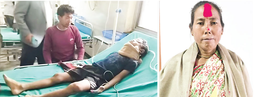चितुवाको मुखबाट नाति थुत्ने हजुरआमा
