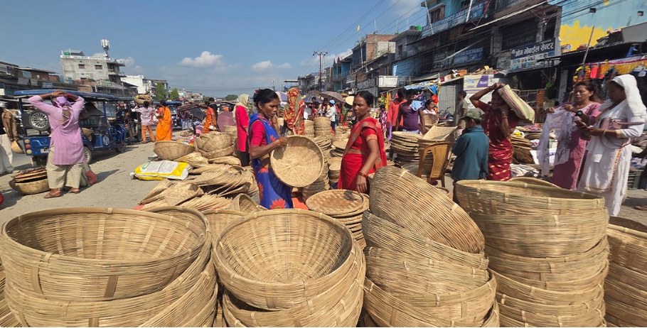 छठ पर्वमा चोयाको व्यापारले बजारमा नयाँ रौनक