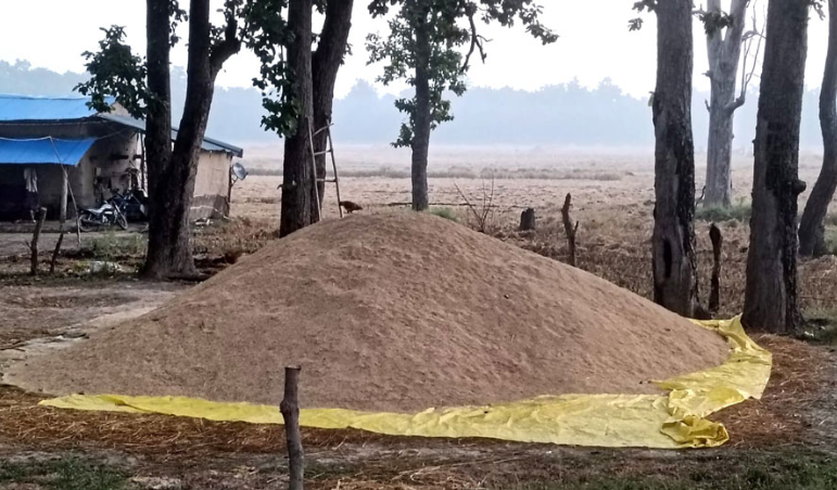 निजी क्षेत्रबाट धान खरिद ठप्प