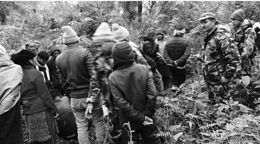 भारतिय  बाघले  नेपाली वृद्धाको ज्यान लियो