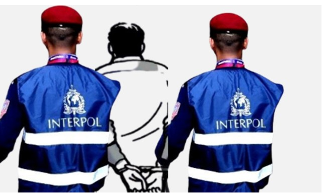 इन्टरपोलको समन्वयमा फरार अपराधि दश जनालाई विदेशबाट ल्याइयो