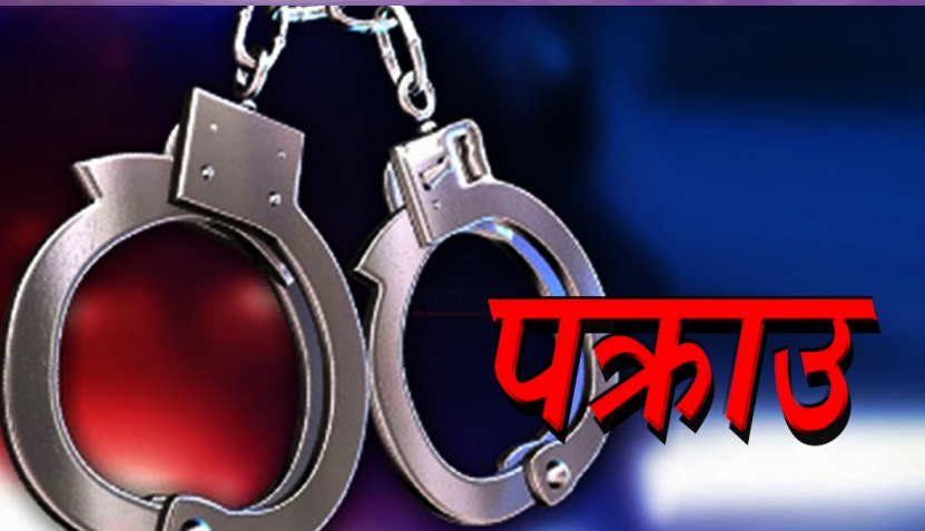 एकै दिनमा कैलाली-कञ्चनपुरमा लागुऔषध सहित ११ जना पक्राउ