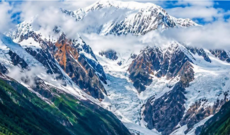 रानीसैन विवाद वन्यजन्तु र जडिबुटी तस्करीसँग जोडिएको छः डिभिजन वन प्रमुख डिसी