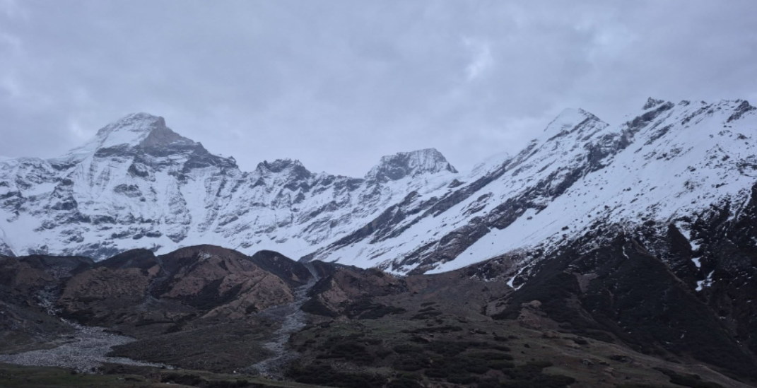 १३८ जनाले दार्चुलामा यार्सागुम्बा संकलनका लागि लिए अनुमति