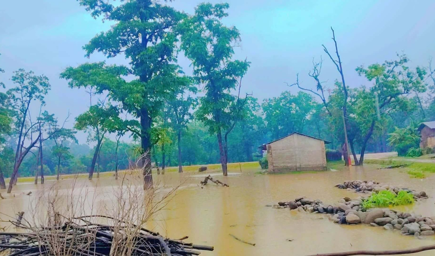 सुदूरपश्चिममा हिजो र आज कहाँ कति वर्षा भयो